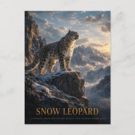 Schneeleopard Alpine Highlands TIEREN Postkarte