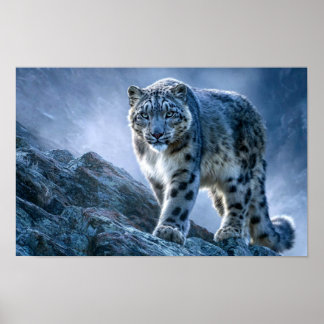 Schneeleopard auf Berggipfel – Wildtier Natur Poster