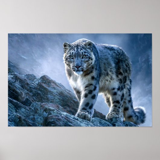 Schneeleopard auf Berggipfel – Wildtier Natur Poster (Vorne)