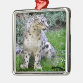 Schneeleopard auf dem Gras Ornament Aus Metall (Links)