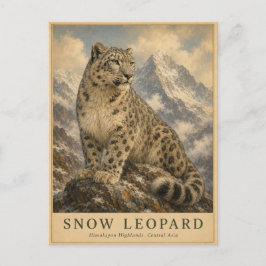 Schneeleopard Himalaya VINTAGE Postkarte