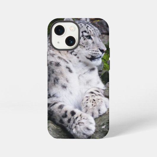 Schneeleopard iPhone Hülle (Rückseite)