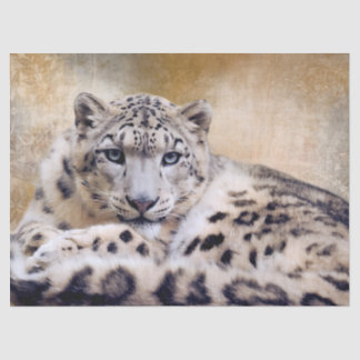 Schneeleopard liegt seidenpapier