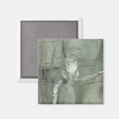 Schneeleopard Magnet (Vorderseite/Rückseite)