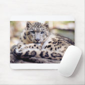 Schneeleopard Mousepad (Mit Mouse)