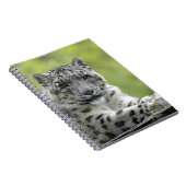 Schneeleopard Notizblock (Rechte Seite)