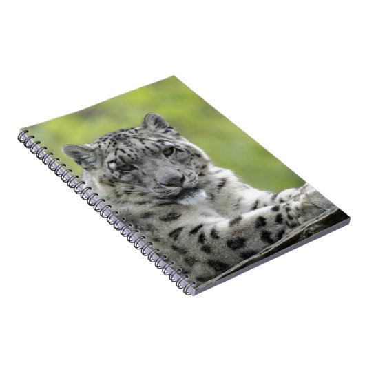 Schneeleopard Notizblock (Rechte Seite)