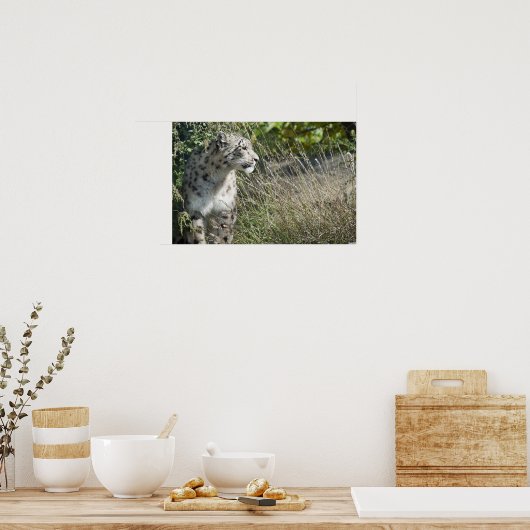 Schneeleopard Poster (Küche)