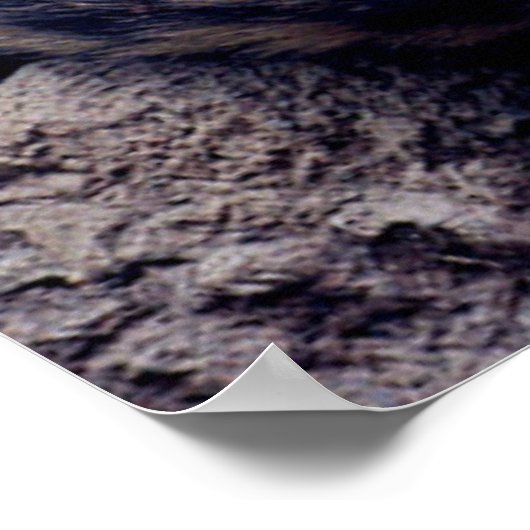 Schneeleopard Poster (Ecke)