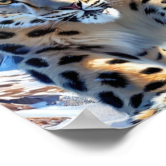 Schneeleopard Poster (Ecke)