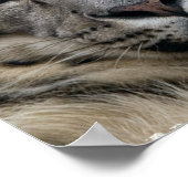 Schneeleopard Poster (Ecke)