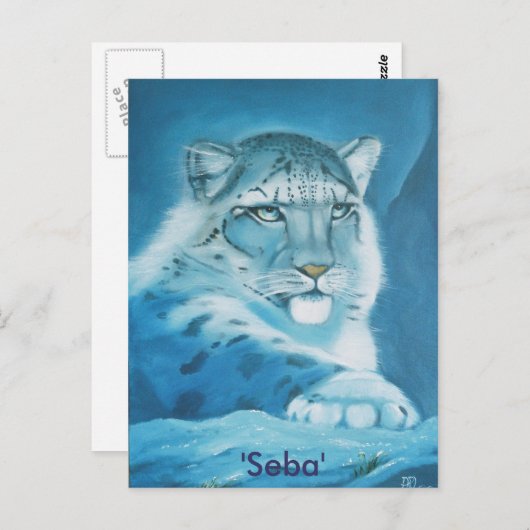 Schneeleopard, 'Seba' Postkarte (Vorne/Hinten)