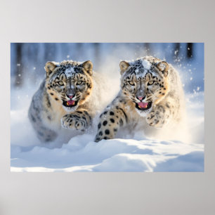 Schneeleopard Tierart Majestic Wild Poster