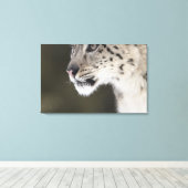 Schneeleopard (Uncia uncia) 2 Leinwanddruck (Insitu (Holzboden))