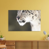 Schneeleopard (Uncia uncia) 2 Leinwanddruck (Insitu (Wohnzimmer))