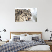 Schneeleopard (Uncia uncia) Leinwanddruck (Insitu (Schlafzimmer))