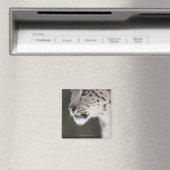 Schneeleopard (Uncia uncia) Magnet (In Situ (Geschirrspüler))