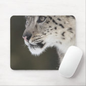 Schneeleopard (Uncia uncia) Mousepad (Mit Mouse)