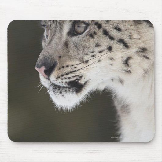 Schneeleopard (Uncia uncia) Mousepad (Vorne)