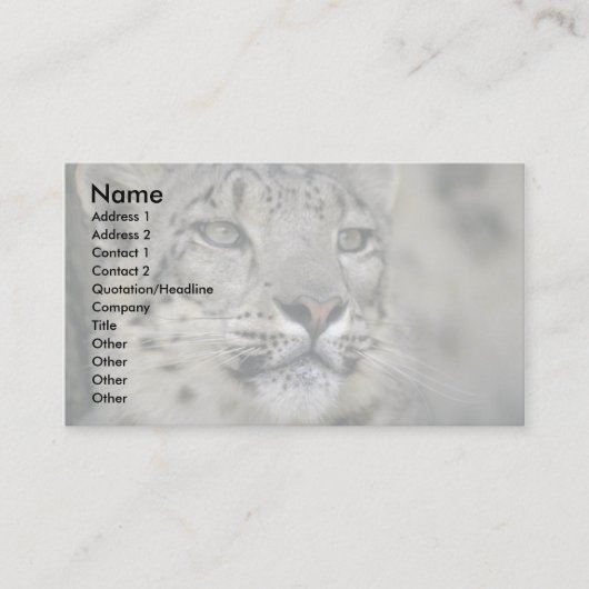 Schneeleopard Visitenkarte (Vorderseite)