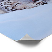 Schneeleopard Wildtier Natürliche Umgebung Poster (Ecke)