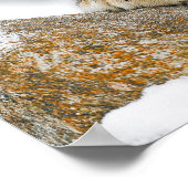 Schneeleopard Wildtier Natürliche Umgebung Poster (Ecke)