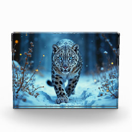 Schneeleopard Winter majestätisch blauer mit Augen Fotoblock