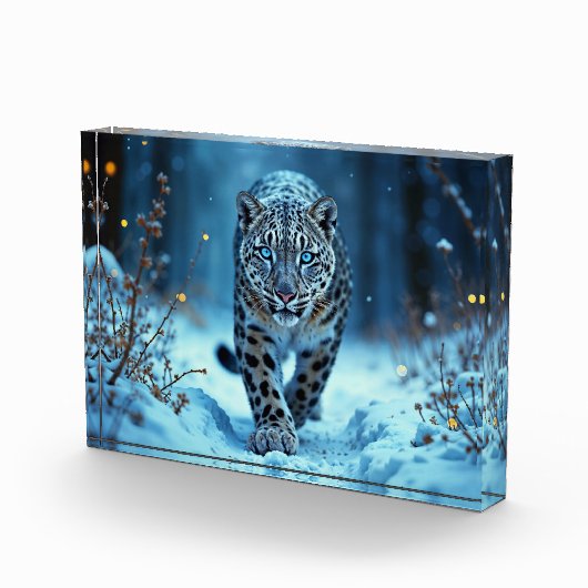 Schneeleopard Winter majestätisch blauer mit Augen Fotoblock (Rechts)