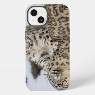 Schneeleoparden: iPhone Hülle