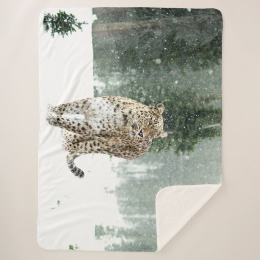 SCHNEELEOPORD SHERPADECKE (Vorderseite)