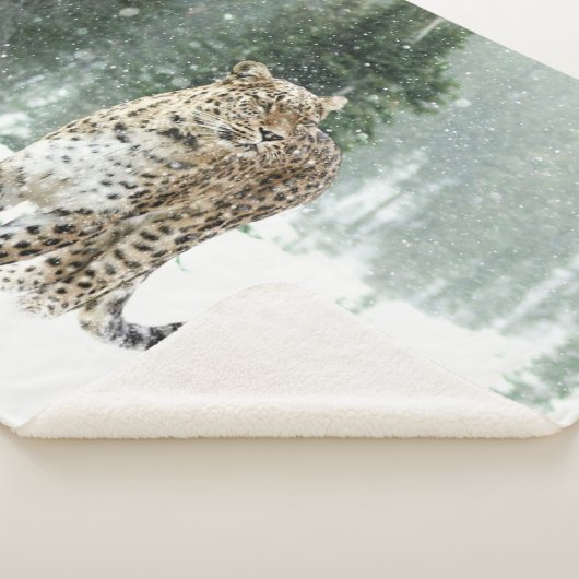 SCHNEELEOPORD SHERPADECKE (3/4)