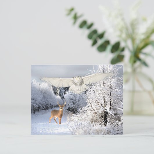 "Schneelicht" Postkarte (Stehend Vorderseite)