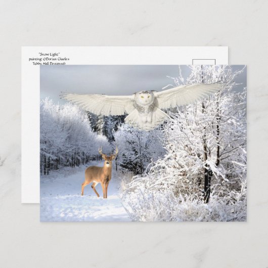 "Schneelicht" Postkarte (Vorne/Hinten)