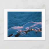 SCHNEELICHT POSTKARTE (Vorderseite)