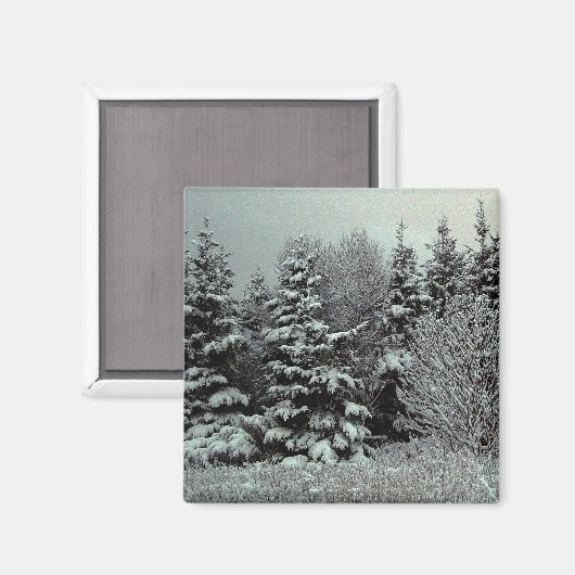 Schneemagnet Magnet (Vorderseite/Rückseite)