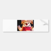 SCHNEEMANN AUTOAUFKLEBER (Vorne)