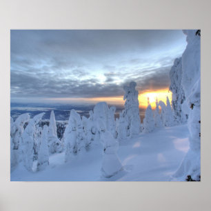 Schneemassen bei Sonnenuntergang im Pfahlfisch-Geb Poster