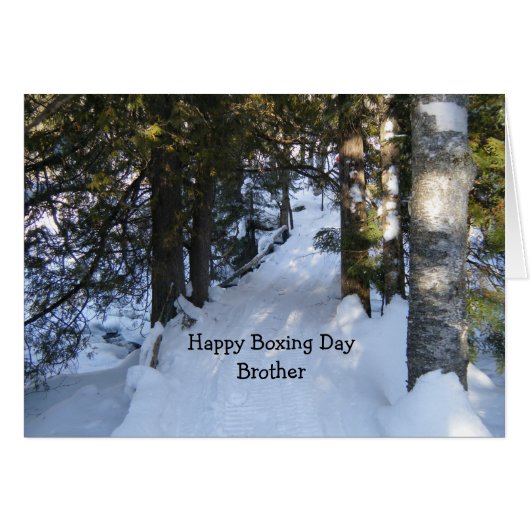 Schneemobil (Vorderseite (Horizontal))