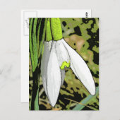 Schneemobile Postkarte (Vorne/Hinten)