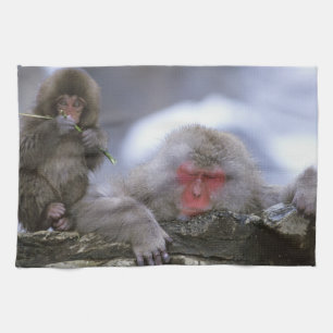Schneemonkey-Mutter & Kind, Jigokudani, Nagano, Handtuch