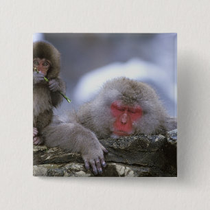 Schneemonter-Mutter & Kind, Jigokudani, Nagano, Button