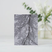 Schneemuster in den Bäumen Postkarte (Stehend Vorderseite)