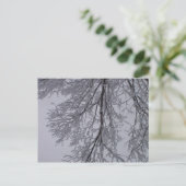 Schneemuster in den Bäumen Postkarte (Stehend Vorderseite)