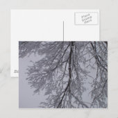Schneemuster in den Bäumen Postkarte (Vorne/Hinten)