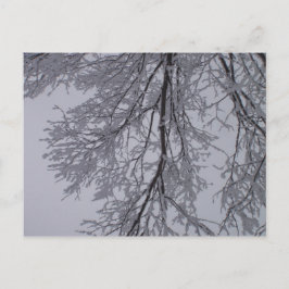 Schneemuster in den Bäumen Postkarte