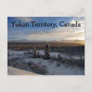 Schneenachmittag; Yukon-Gebiet, Kanada Postkarte