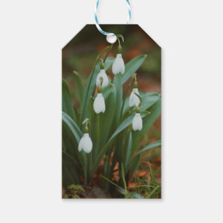 Schneeopfmarken Geschenkanhänger