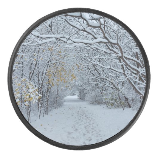 Schneepark Eishockey Puck (Vorderseite)