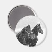 Schneepferde Magnet (Vorderseite/Rückseite)