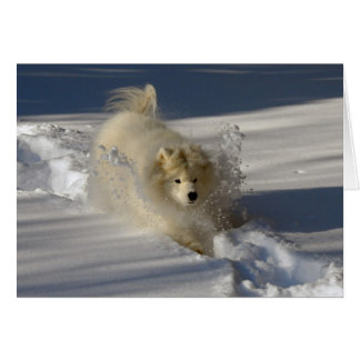 Schneepflug - leere Karte